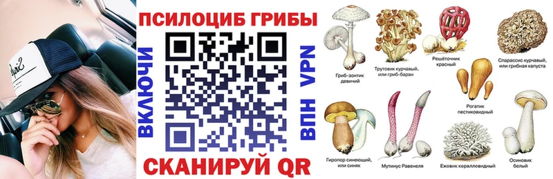 Псилоцибиновые грибы Psilocybe  наркошоп  Королёв 